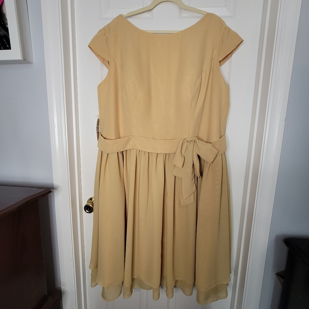 NWTags Gold Chiffon Dress Sz- W26